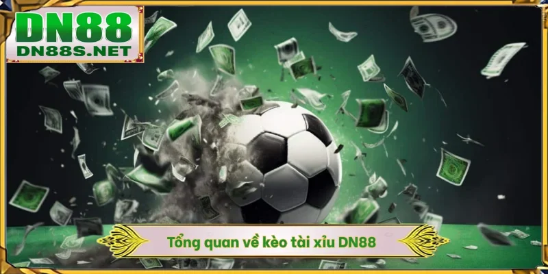 Tổng quan về kèo tài xỉu DN88