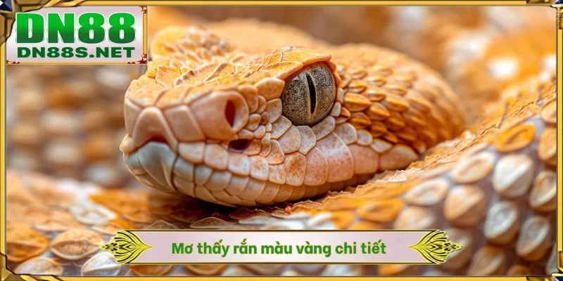 Mơ thấy rắn màu vàng chi tiết